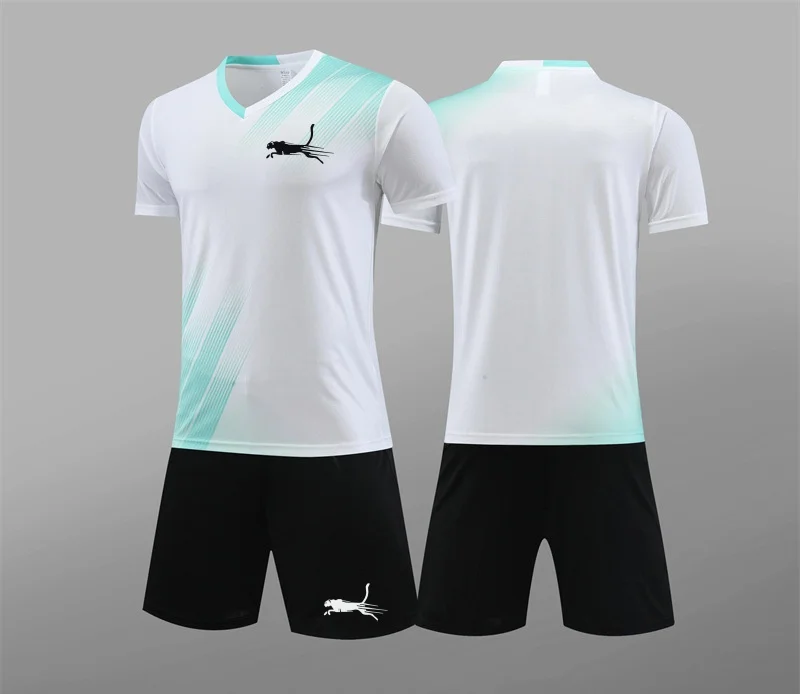 2024 New Hound Men's Summer Men's Tennis Short Sleeve T-Shirt Fashionable and Comfortable Badminton Training Set