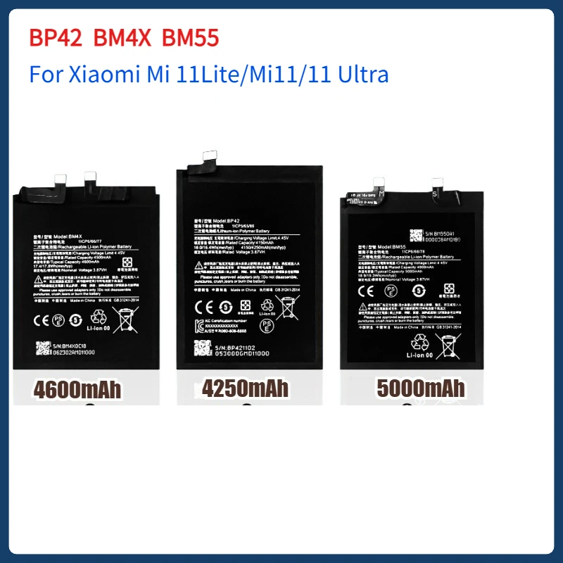 2025 Year BM4X BP42…