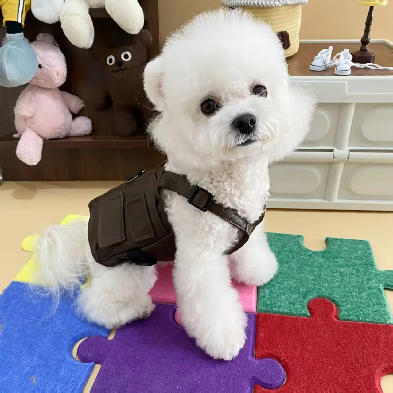 كلاب أليفة القطط سترة معطف جلد ل Schnauzer تيدي الكلاب معطف دافئ سترة فو الجلود موضة الحيوانات الأليفة جرو الملابس الملابس
