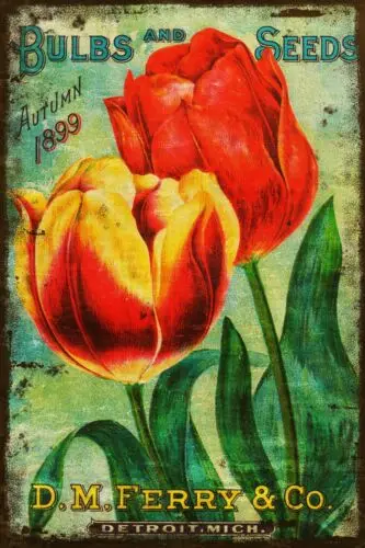 Tulip Seed & Bulb Floral Advert, Aged Look Vintage Retro Style Metal Sign Plaque