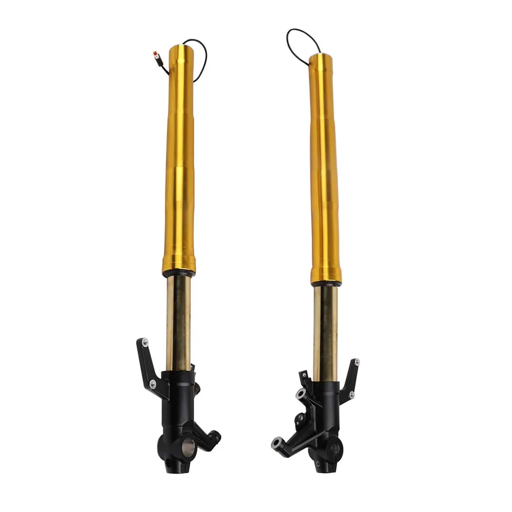 Motorcycle Accessories Front fork parts Motorcycle front shock absorber Suspension Front fork parts for AK550 CK600T-10