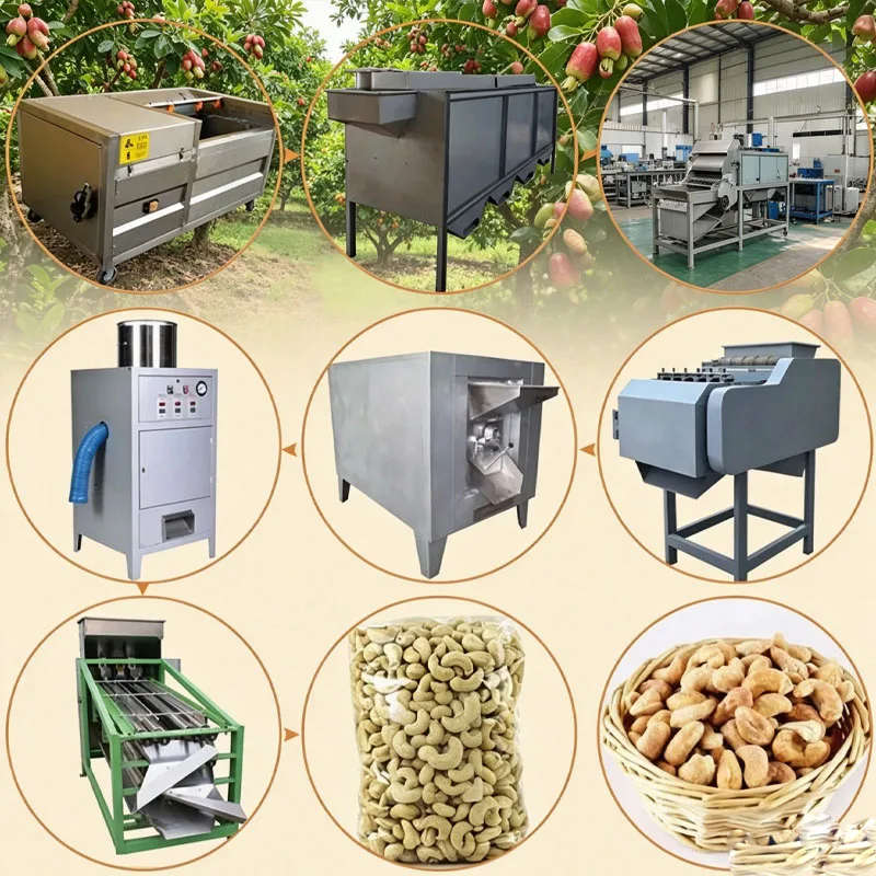 Cashew Shelling Peeling and Drying Line with Steam Cracking Oven for White Cashew Kernels Customized