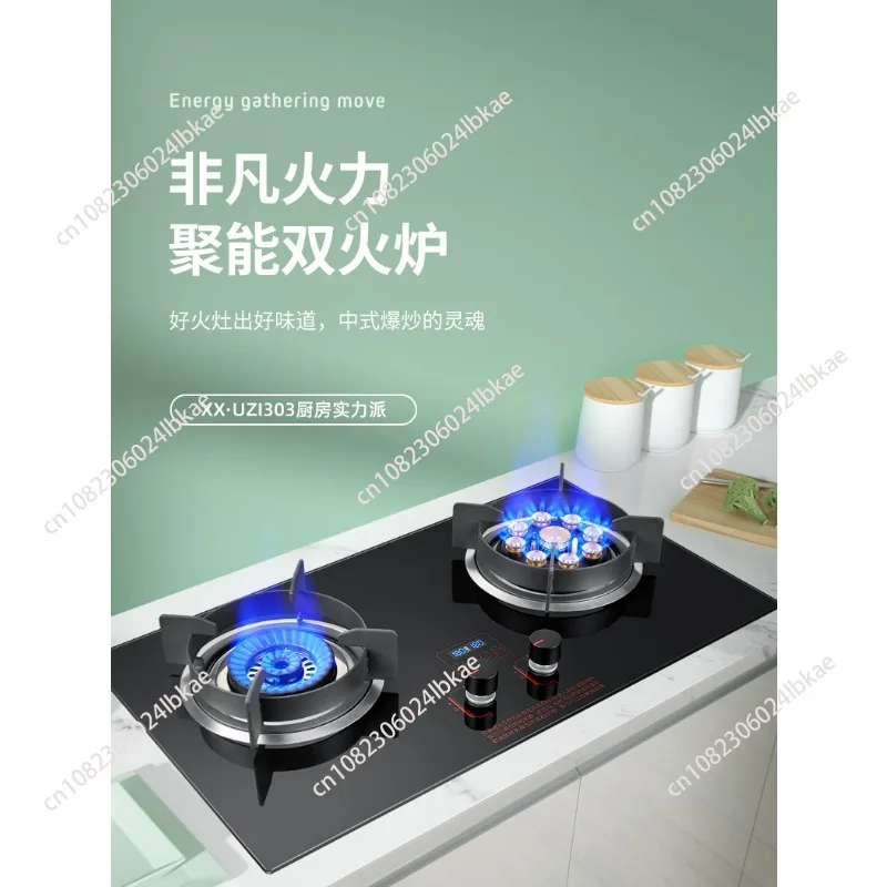 Household Built-in Double Stove Gas Stoves Table Kitchen Kitchens Cookers Countertops Cooker Home Recessed Top Cooktop Hob Panel