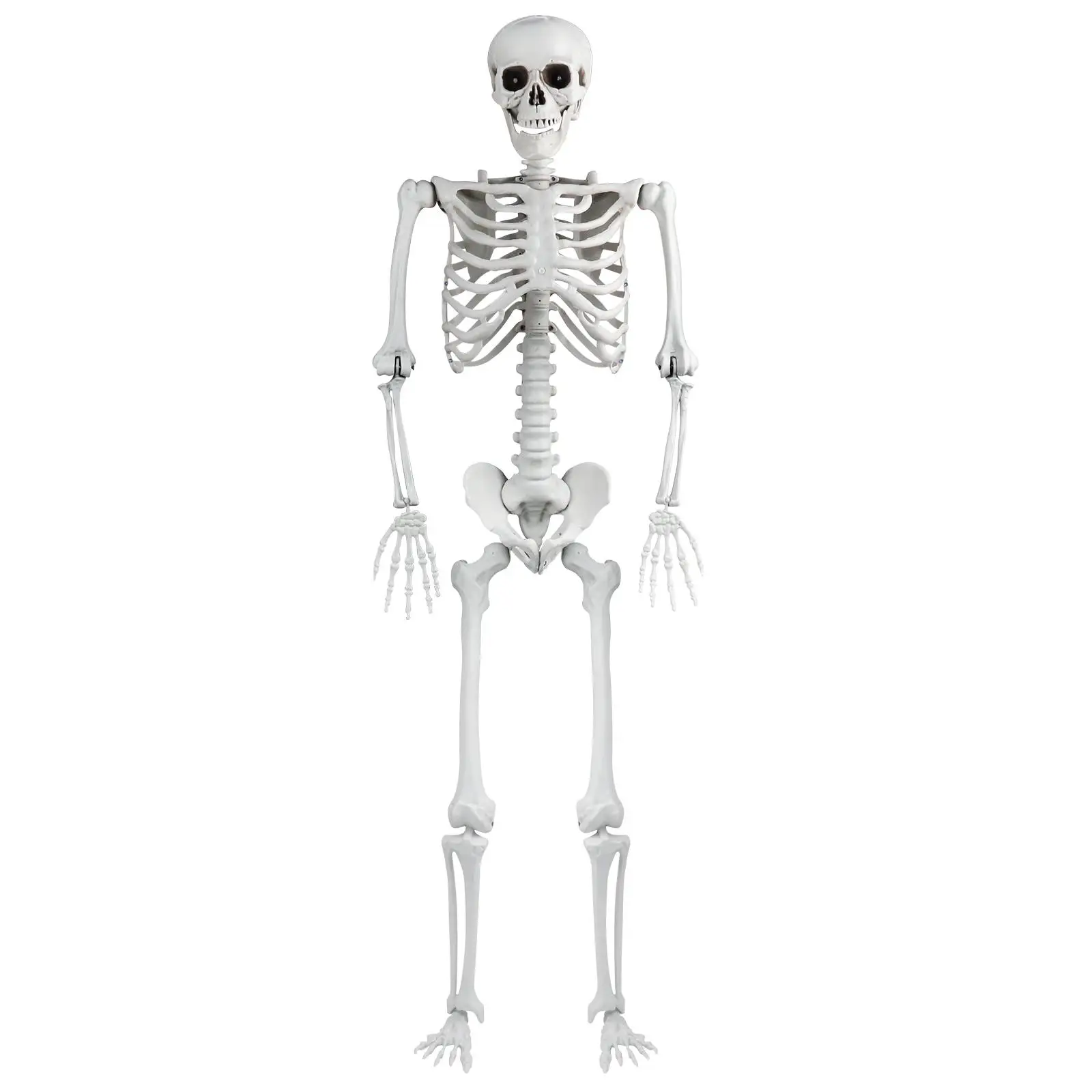 

Bone Decor Prop Home Ornament Hanging Plastic Sound Effect 165cm Halloween Skeleton Decoration Movable Joints for Photo