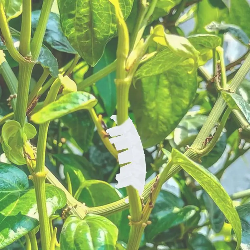 100Pcs Plant Fixed Clips Reusable Greenhouse Bracket For Fixing Stems Of Flower Vine Vegetables Tomatoes Garden Supplies