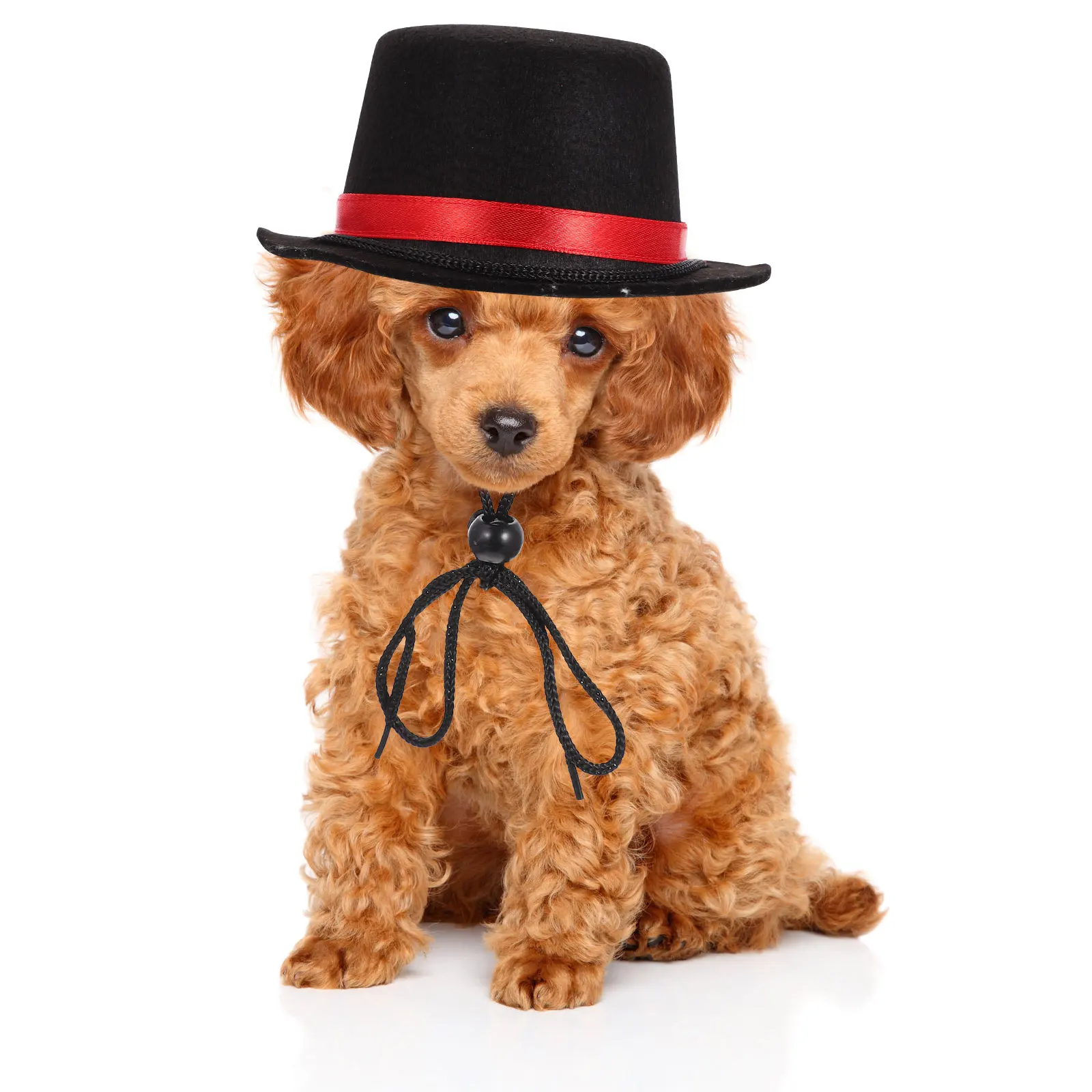 

Pet Hat Kitten Small Bowler Dog Funny Large Costume Outfits Cat Puppy Has Halloween