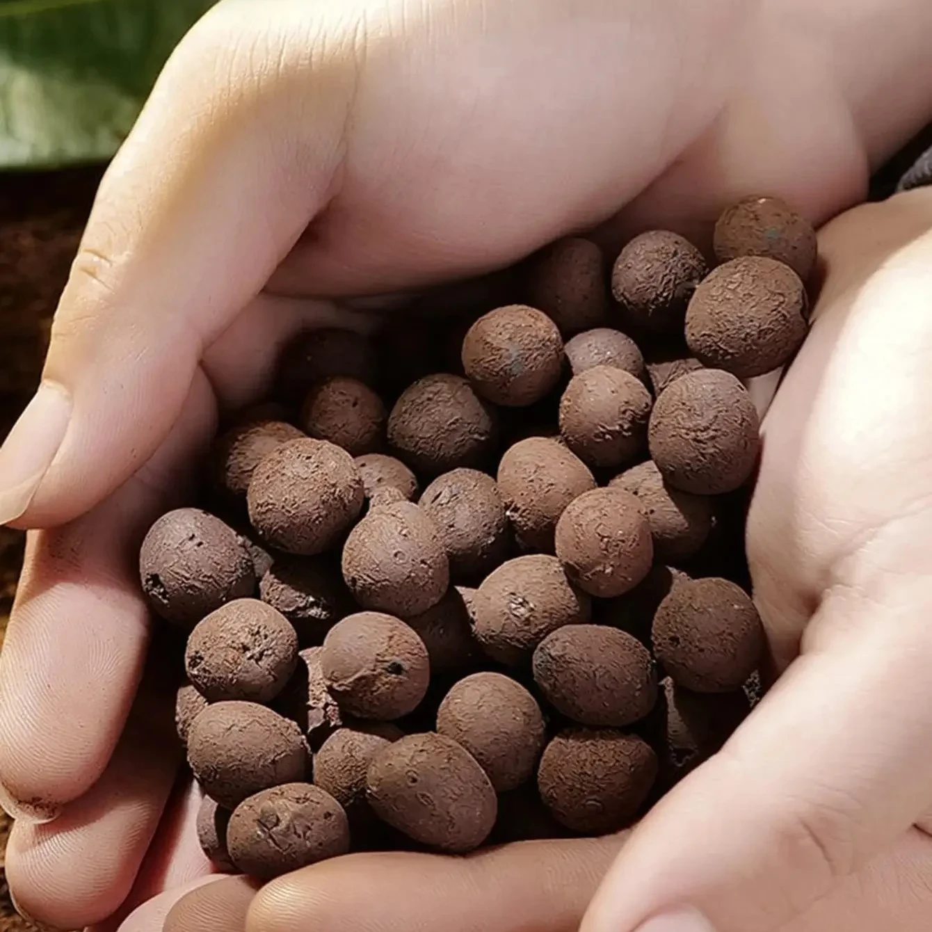 500 g/opakowanie Leca Balls Gliniane kamyki do roślin, gliniane kamyki do uprawy hydroponicznej,