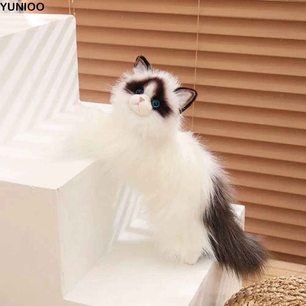 Wypchana lalka Symulowany kot Pluszowe zabawki Puszyste długie włosy Ragdoll Kot Pluszowa zabawka Śliczne wygodne pluszowe figurki kotka Zabawka dla dzieci Prezent