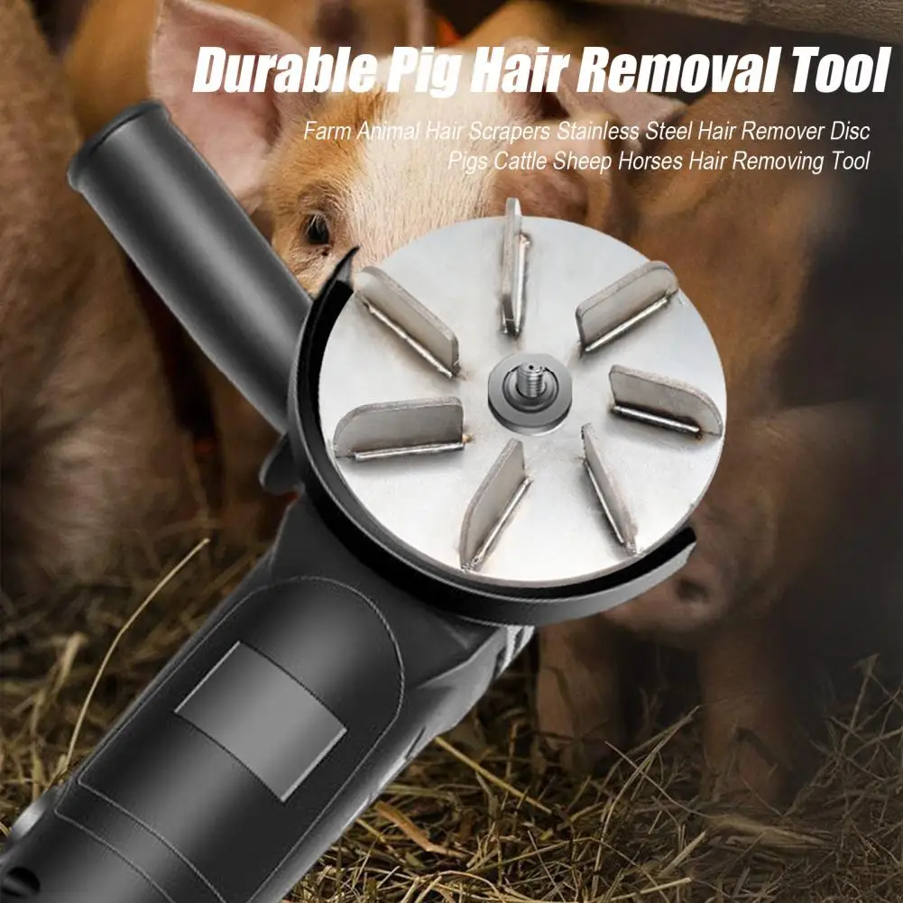 Pig Hair Scraper Long-lasting Lint Removal Disc Stainless Steel Farm Hair Scrapers for Pigs Cattle for Roosters for Slaughter