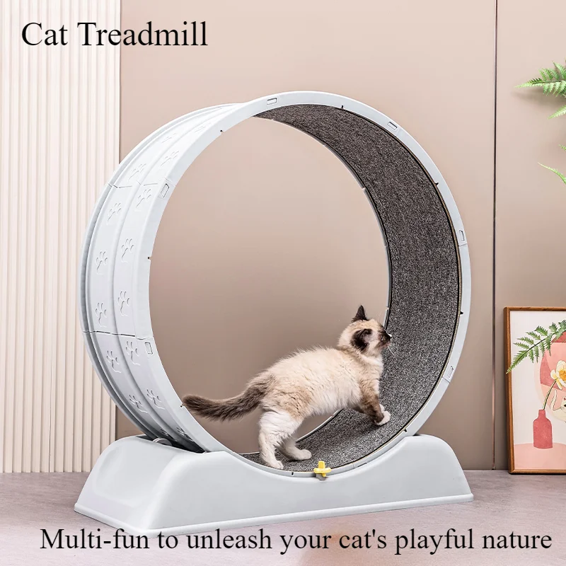 Katzen-Laufband, leises, geräuscharmes Übungsrad mit abnehmbarem Teppich, einfache Montage und lustiges Laufspielzeug für Indoor-Spiele und Fitness