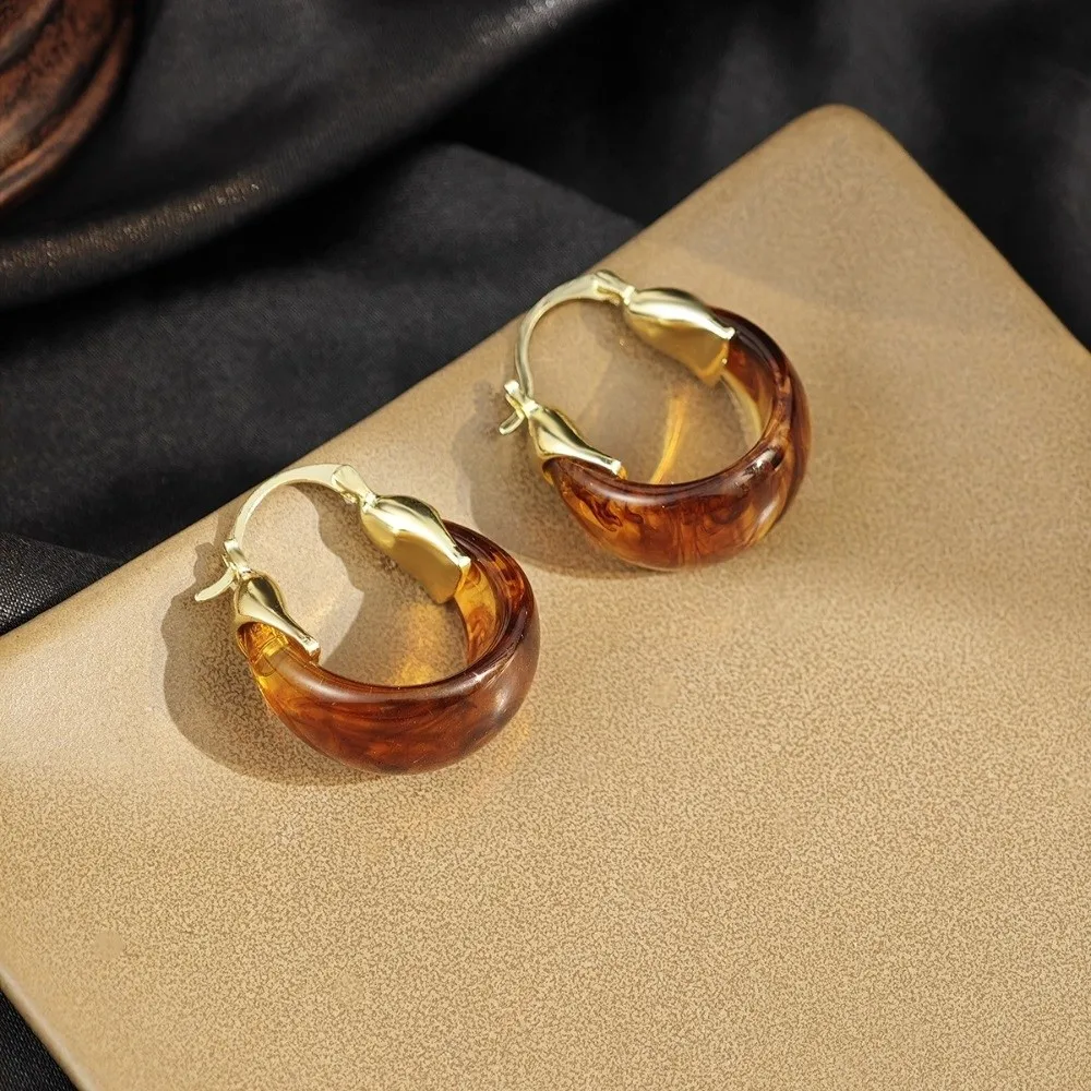 Pendant Amber Color Earrings Light Luxury Autumn Winter Vintage Women's Earrings Temperament Fashion Jewelry Amber Ear Stud