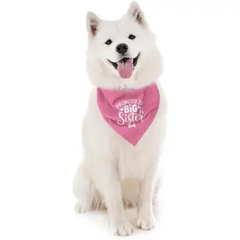 10 best sales אחות גדולה של הכלב - №5