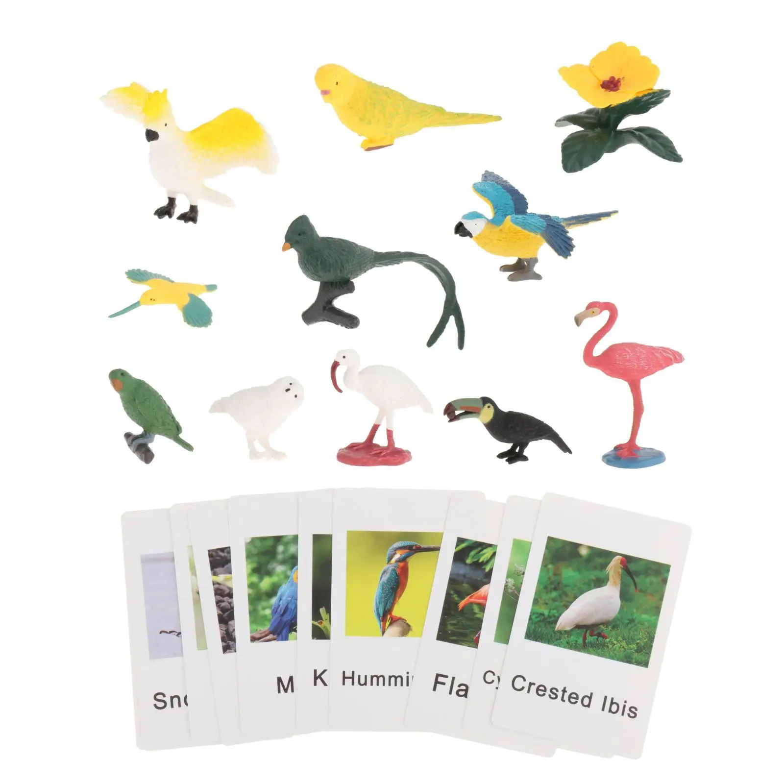 Montessori Animal Figures with Flash Cards Montessori Materials for Teaching Aid Homeschool Science Cognitive Holiday Present view 2
