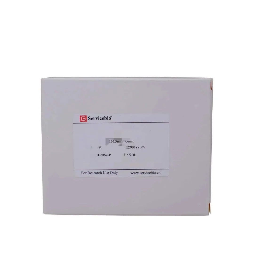 WB Electrophoresis Glass Plate, Vertical Electrophoresis Tank, Protein Gel Glass Plate, Flat Intaglio Plate, 0.75/1.0/1.5mm Thic