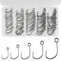 75Pcs-Box