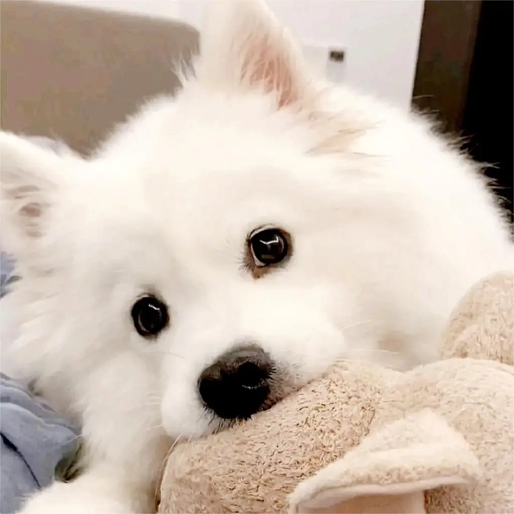 1 قطعة معدن الصلب 5 مللي متر 32P ترس المحرك ترس 13T 14T 15T 16T 17T 18T 19T 20T 21T ل 1/10 1/8 RC قطع غيار السيارات