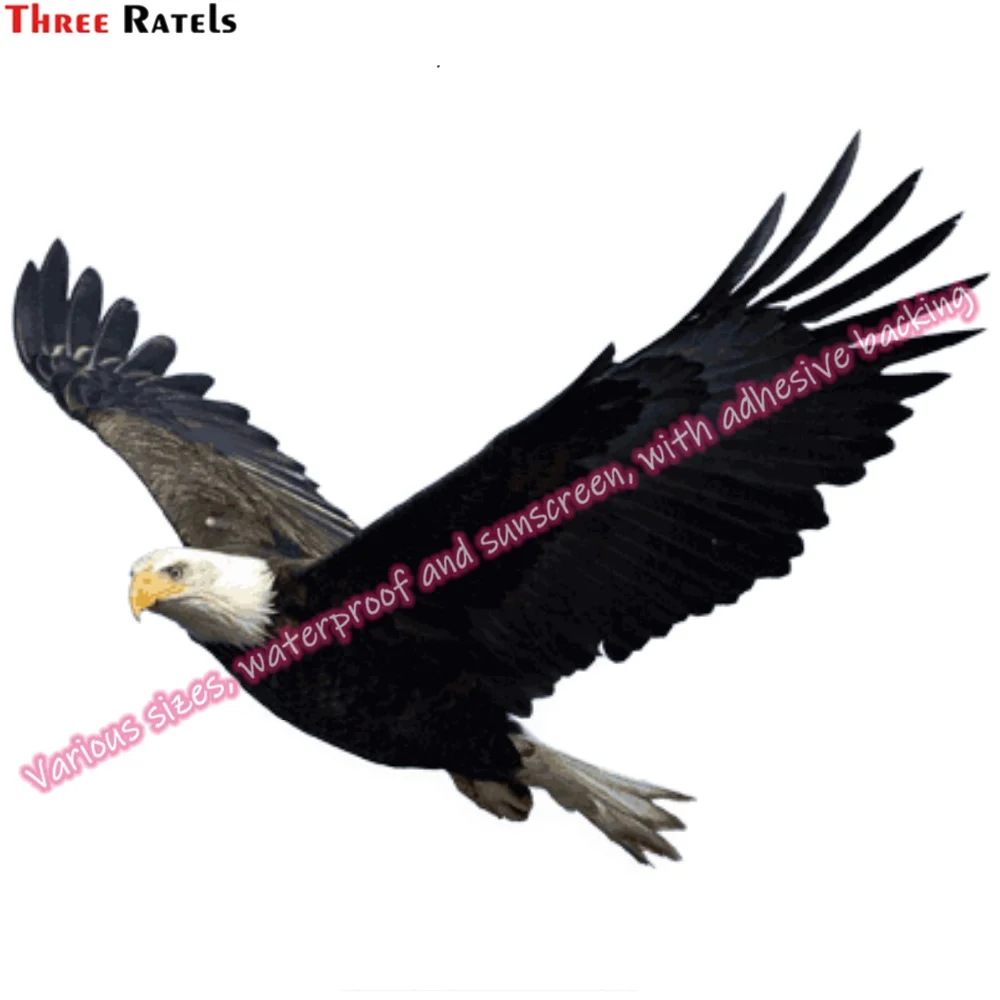 Three Ratels N159 Stickers Accessories for Tuning Vehicles Stickers for Alien for Kia Sportage Supplies Motorcycle Stuff