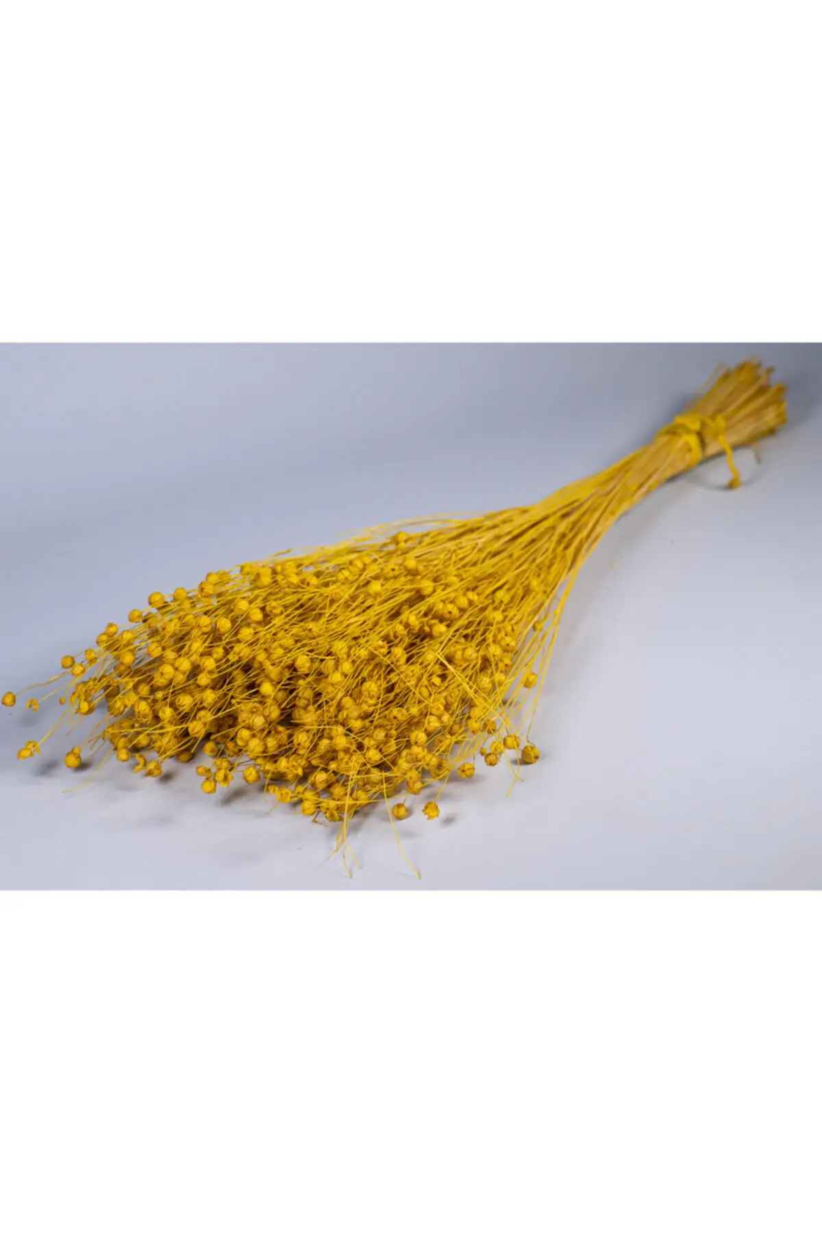 Flores secas cor amarela luna grama decoração para casa 2021-2022 outono & inverno decoração elegantes salas de estar