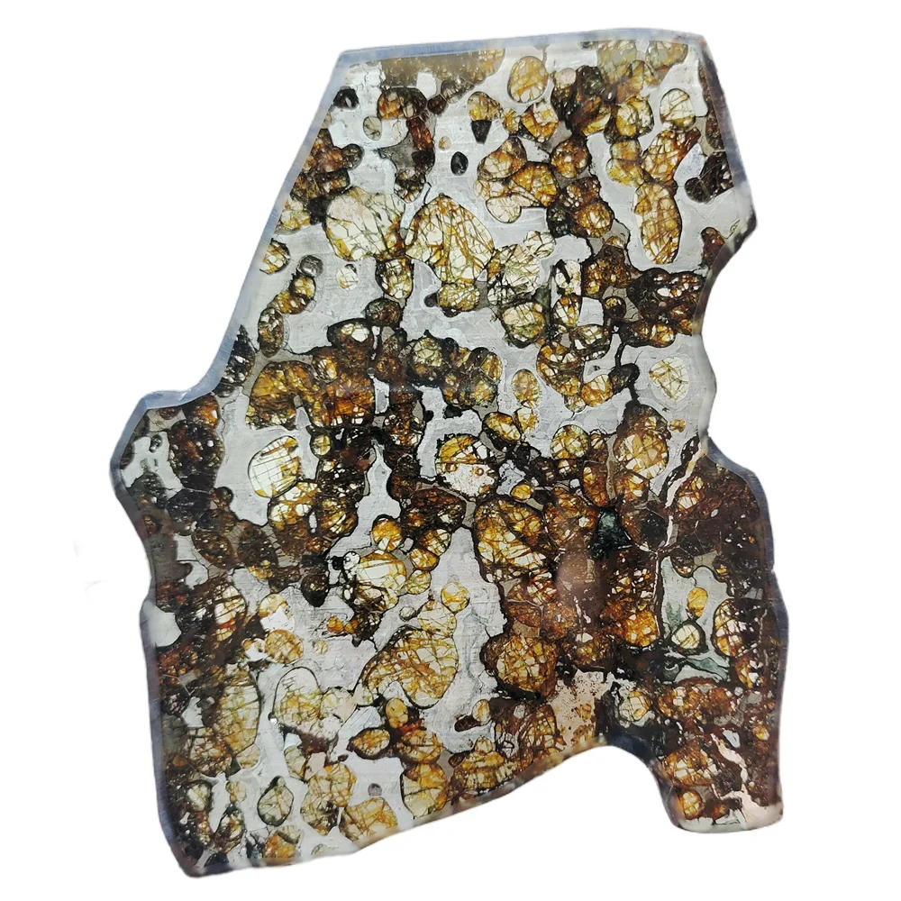 

Brenham Olive Meteorite Slice Pallasite Olive Meteorite Specimen Natural Meteorite Material Specimen Collection