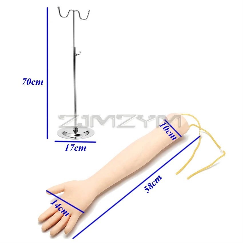 Advanced arm Anatomical Phlebotomy Venipuncture Practice Model anatomyInjection practice Medical Simulator Nurse Training kit