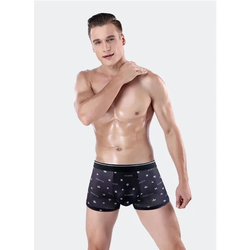 8 PCS Men's Underwear Men's Boxers New Fattened Plus Size Loose Fat Man Black Boxer Shorts Head Autumn and Winter Thin Quick-dry