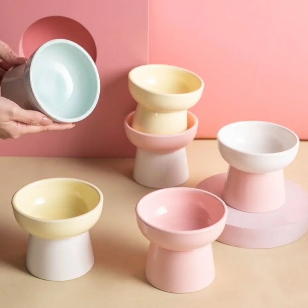 #20 Trending Elevated Cat Feeding Bowls Right Now