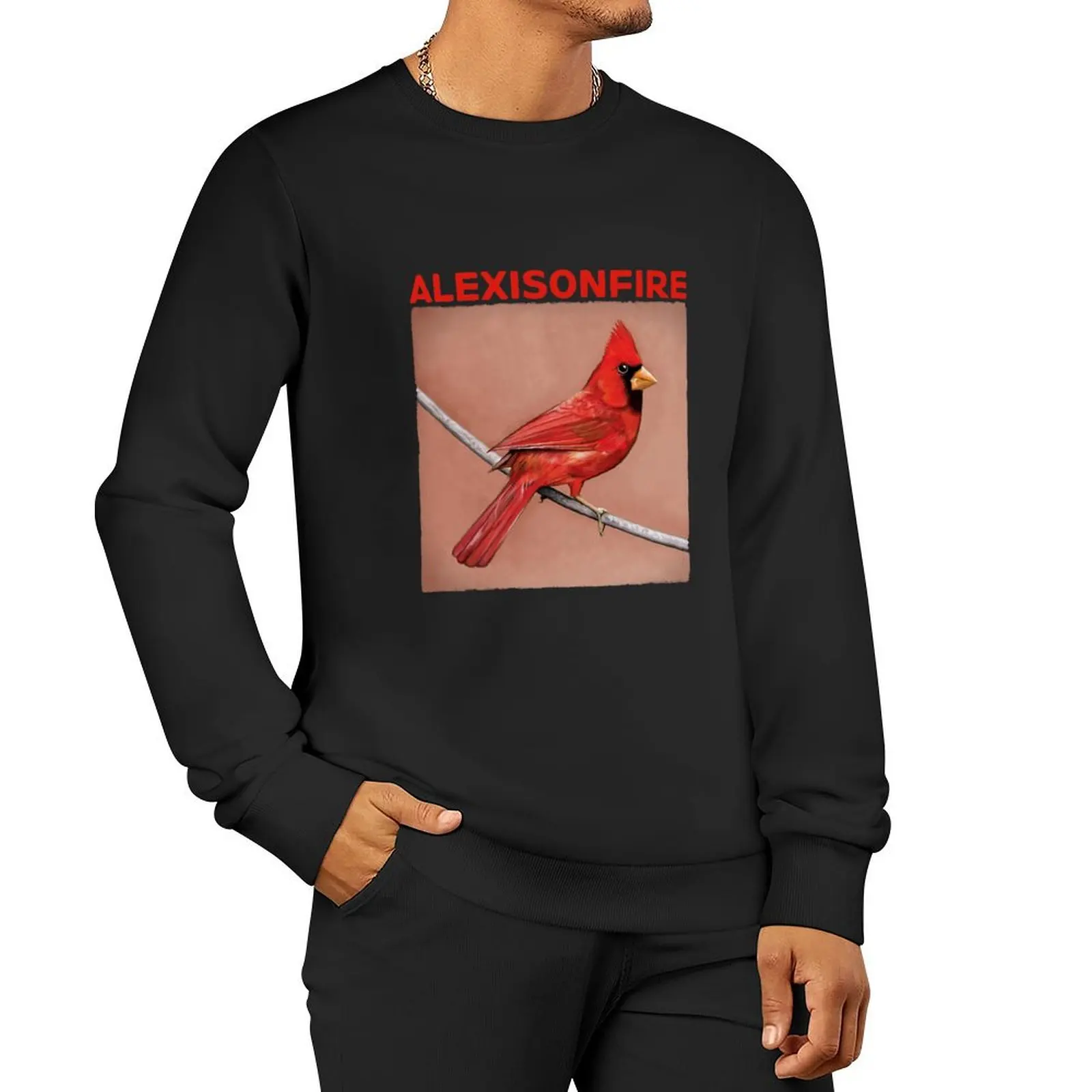 Attract Attention Most Loved Music Alexisonfire Old Crows Young Cardinals Gifts Pullover Hoodie