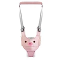 PinkPig