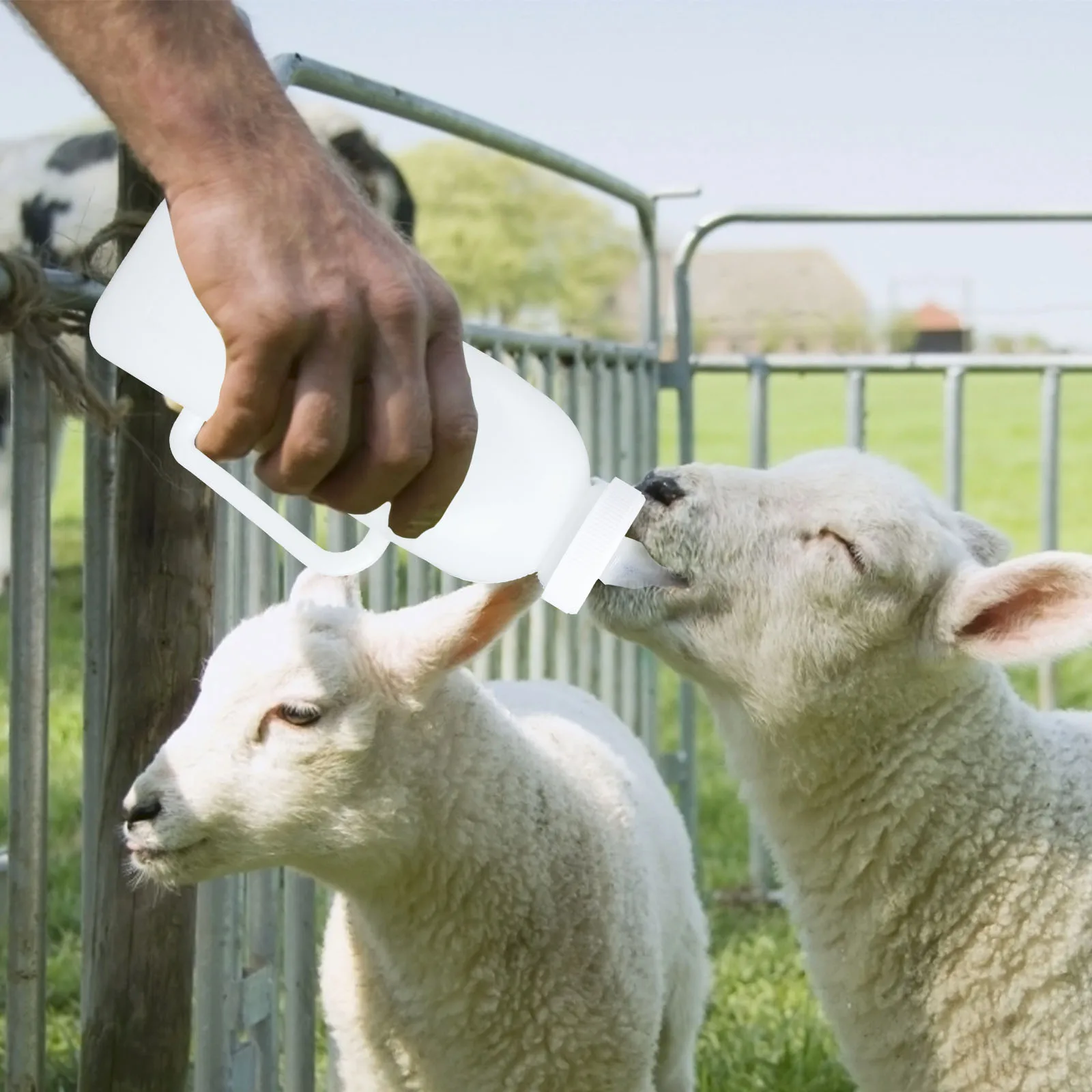 

2 Pcs Milk Bottle Puppy Nursing Bottles Animal Feeding Newborn Pet Lamb Feeder Breast-feeding