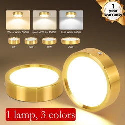 Tricolor LED Downlight 5W 10W 15W 25W Down Lamp Celing Light Round LED Spotlight 220V Panel Lights Indoor Lighting for Entrance