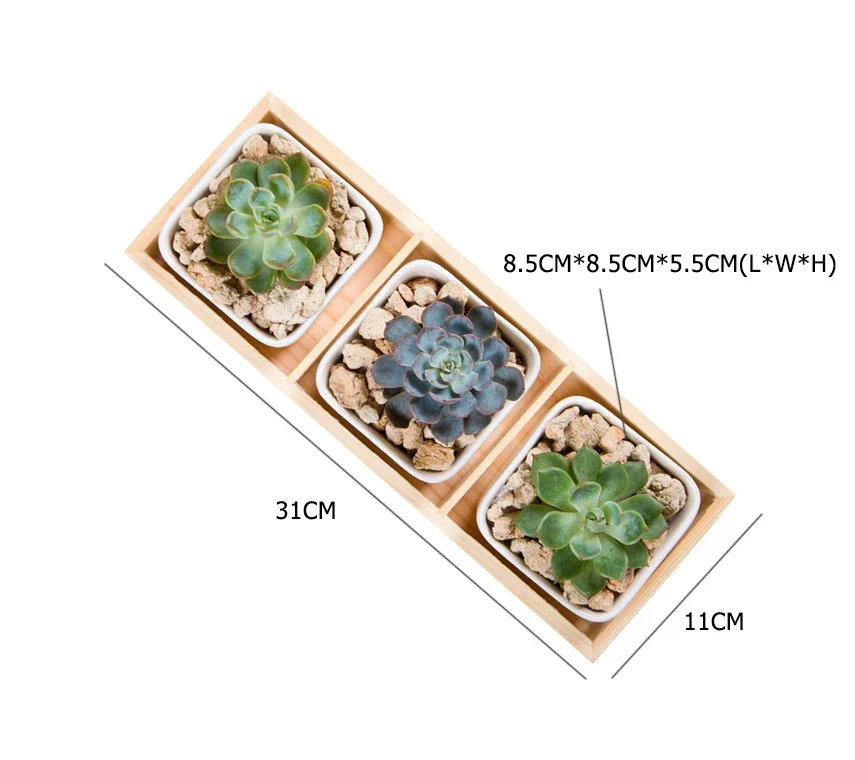Charming Succulent Planters with Bamboo Tray Set - Stylish Desktop Garden Decor & Perfect Gift for Home & Office