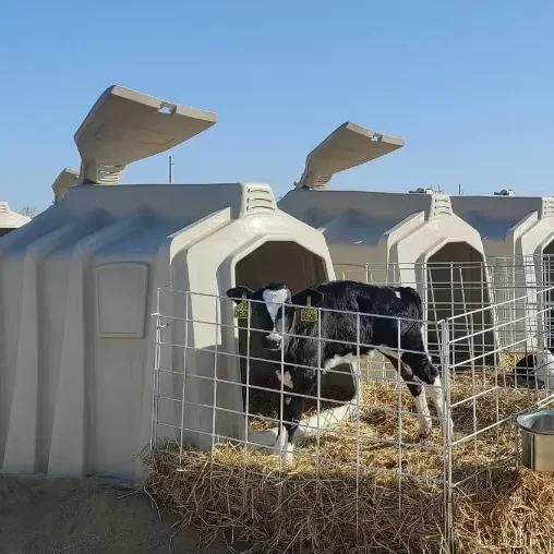 Hot sell Cattle Farm Equipment Durable Galvanized Pipe Calf Breeding Cage Sturdy Steel Calf Island Animal Cages House in New Con