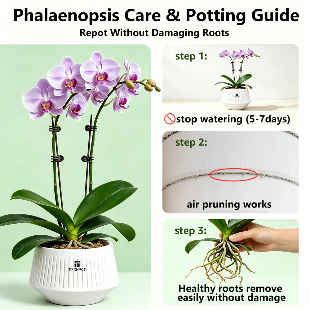 Meshpot Orchid Pots with Holes Flower Pot for Repotting Plastic Planter Indoor-Outdoor Plants Home Decorative air Plant Pot
