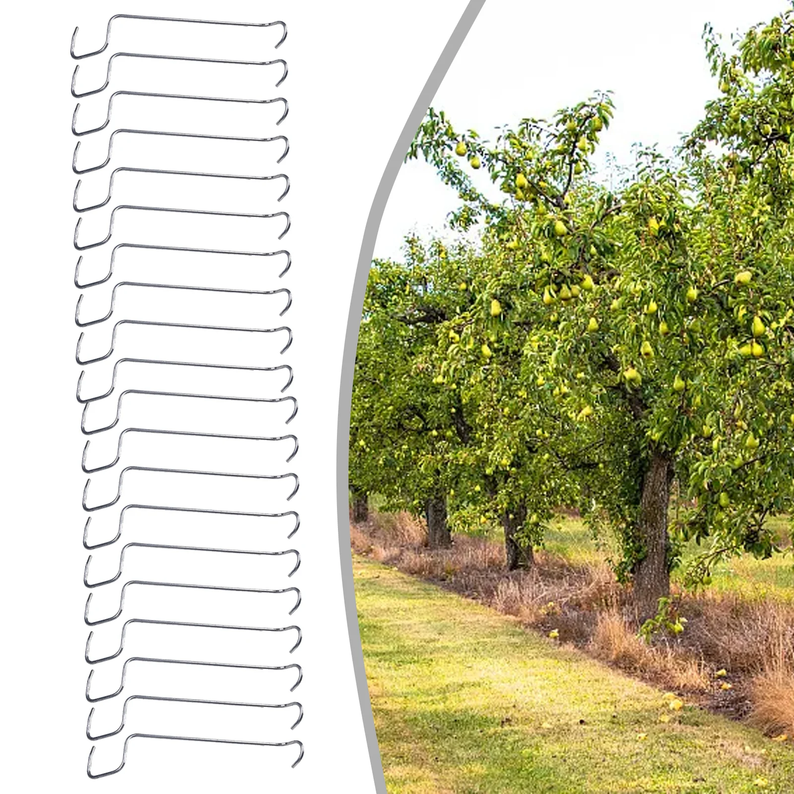 Obst Baum Zweige Halter Anlage Unterstützung Obst Zweig Spreizer Baum Zweig Unterstützung Rahmen Für Hof Obst Baum Zweige Fixe – Detail 30
