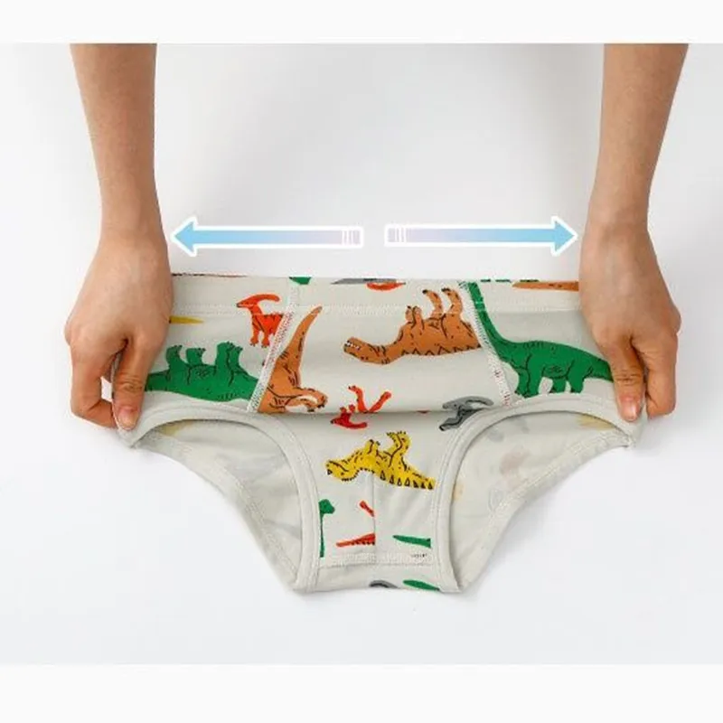 5Pcs/Lot Boys Underpants Boys Underwear Cartoon Shorts Panties for Baby Boy Kids Clothes Teenagers Comfortable Briefs