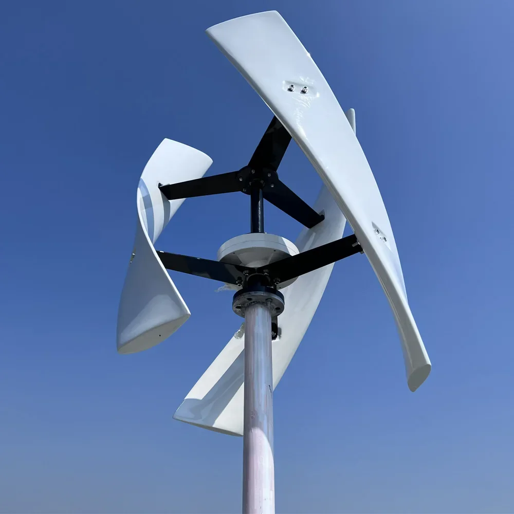 10000w Vertical Wind Turbine Power Generator Free Energy Alternative Energy CE Certification MPPT Controller Hybrid Sys