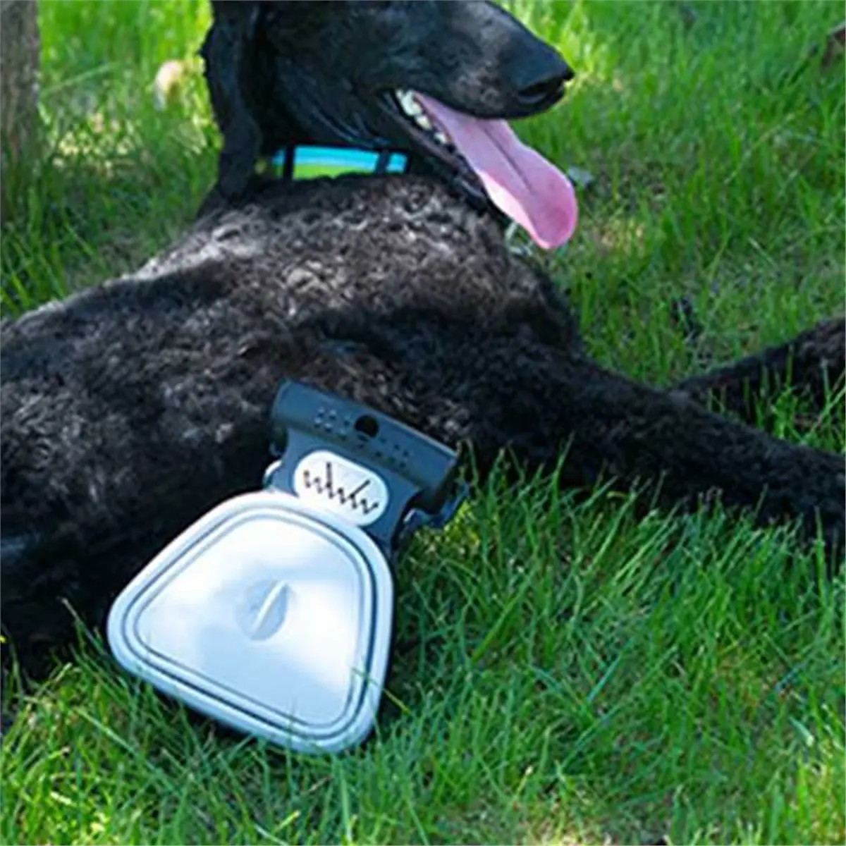 2026 NEW Portable Dog Pooper Scooper for Small and Large Dogs with Bag Attachment and Leash Clip