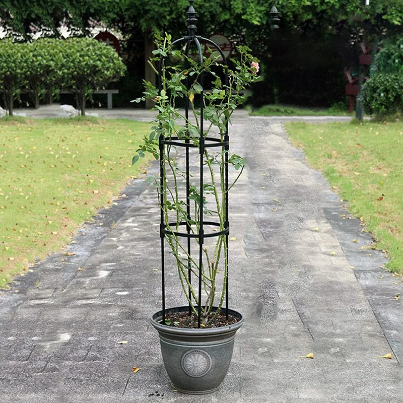 Arden Obelisk Arch Rose Bushes Support Stake For Climbing Plants Metal Stake Support Column Vegetables Flowers Fruits Grow Cage