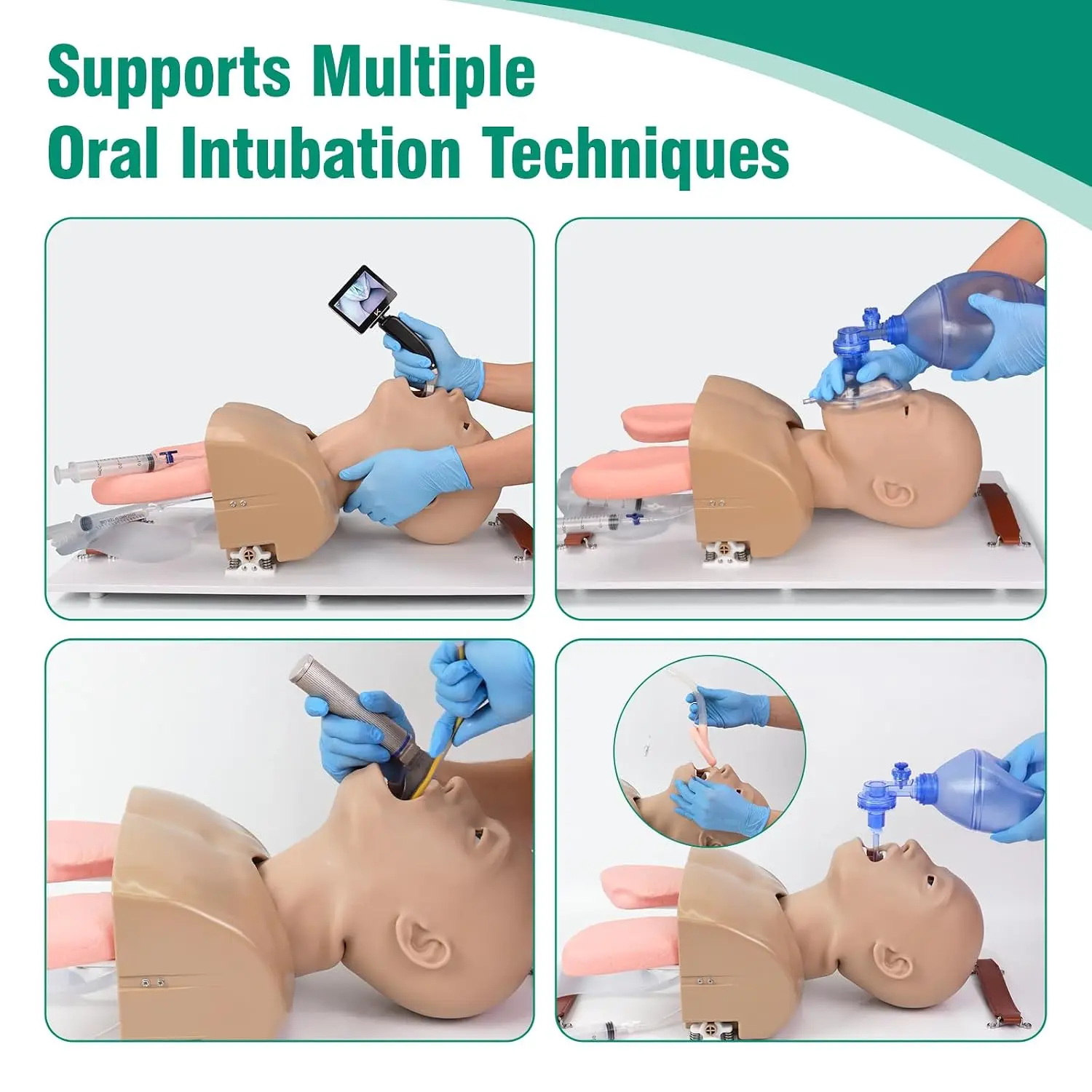 ATM Adult Airway Management Trainer NPA/OPA Insertion Intubation Ventilation Airway Model for EMS Educate C-L I-IV View Training