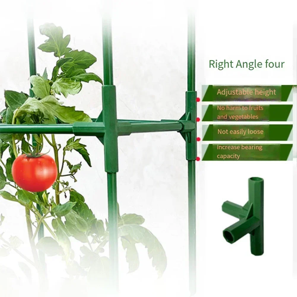 Efficient Tomato Cages and Trellises for Climbing Plants Enhance Airflow and Sunlight Exposure for Better Growth
