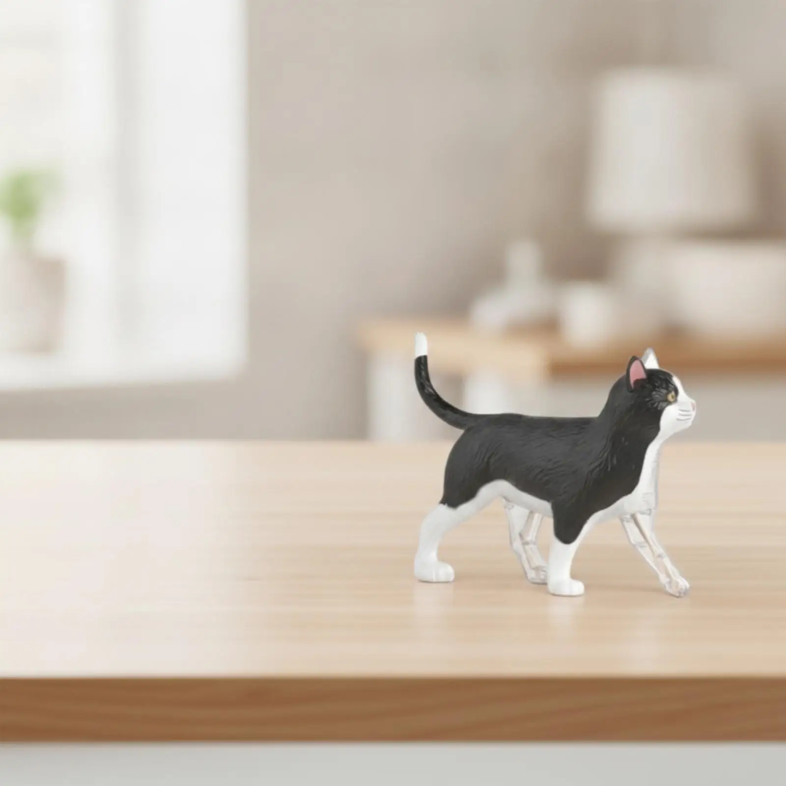 Cat Physiology Model with Detachable Parts Medical for Classroom, Beginners