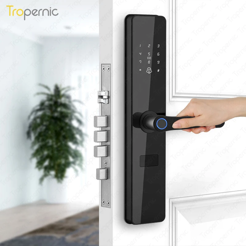 Smart Home Door Lock Tuya App RFID Passcode Lock Electronic Digital Automatic Push and Pull Door Lock System with 6068 Mortise