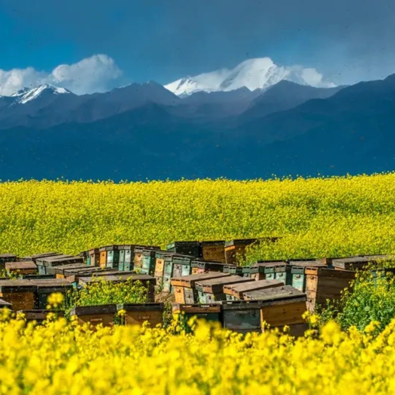 Jx PS-1109HB 4.8V-6…