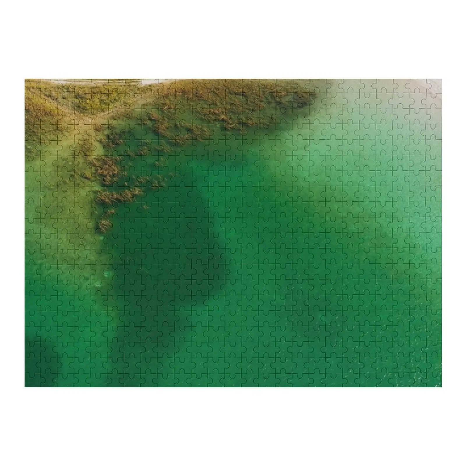 

Seaweed Aerial View in Tropical Beach in Natal, Brazil Jigsaw Puzzle Wood Photo Personalized Baby Toy Puzzle