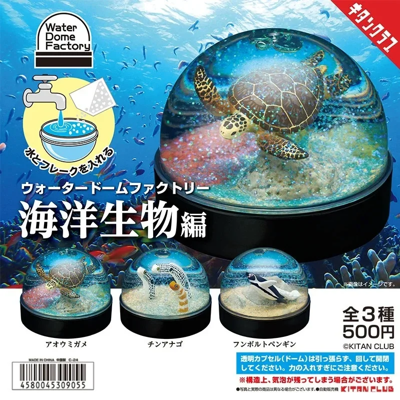 Genuine Gacha Figure Small Scale Model Turtle Litter Snow Crystal Ball Egg Twist Sea Eel Penguin Action Figure Toys