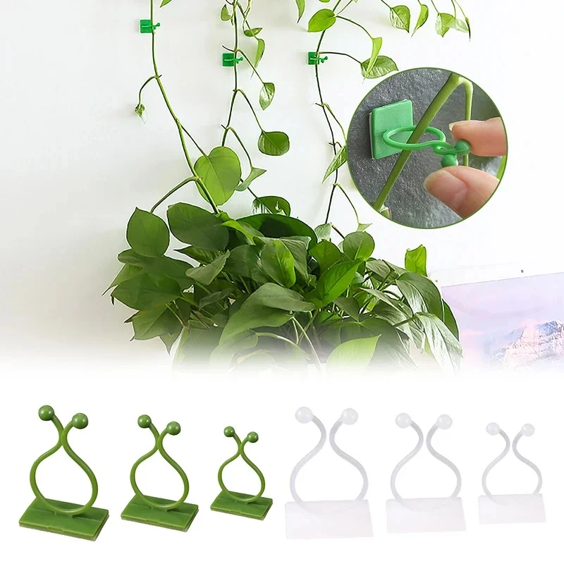 10/50PCS Plant Climbing Wall Fixture Clips Self-Adhesive Vine Buckle Hooks Sticky Rattan Clamp Fixators Invisible Fixing Devices