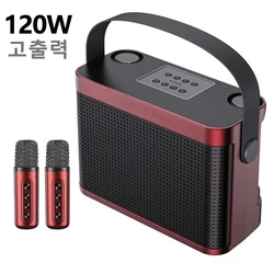 Haut-parleur Bluetooth portable sans fil haute puissance 120 W Super grand son audio fête de famille karaoké colonne caisson de basses BoomBox caixa de som centre de musique avec deux microphones Ys-219