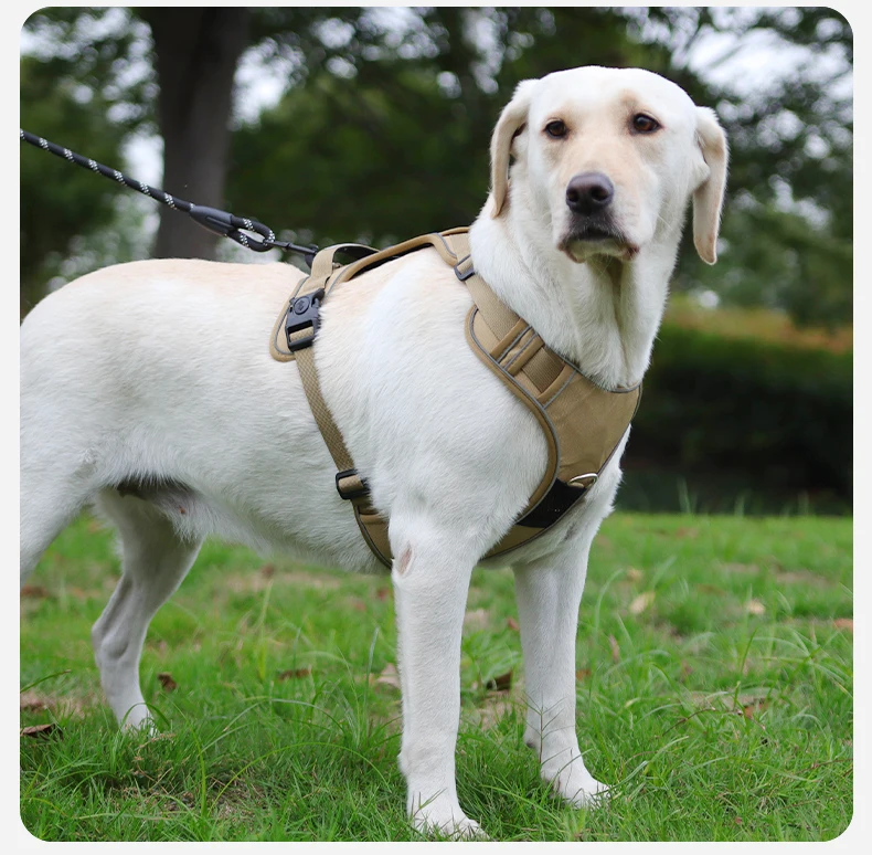 Kein ziehendes Hundegeschirr mit AirTag-Halter, Griff und vorderem Clip – verstellbare, reflektierende, weich gepolsterte Hundegeschirrweste zum Spazierengehen, Tra – Detail 17