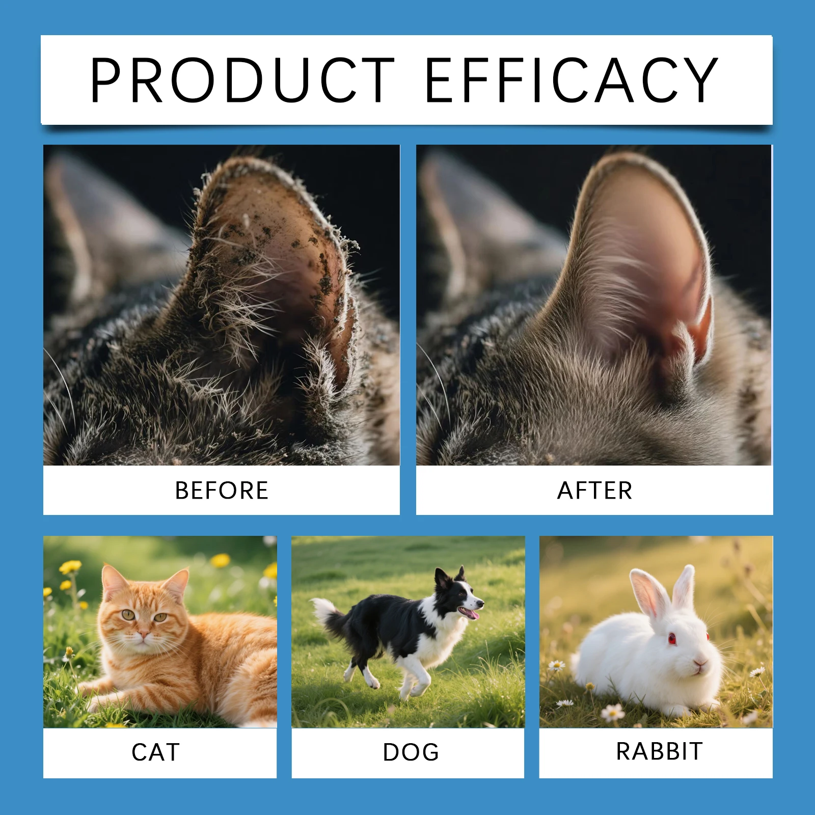 EelJoy Pet Ear Drops Dissolve  - Pet Ear Cleaner 评论和价格