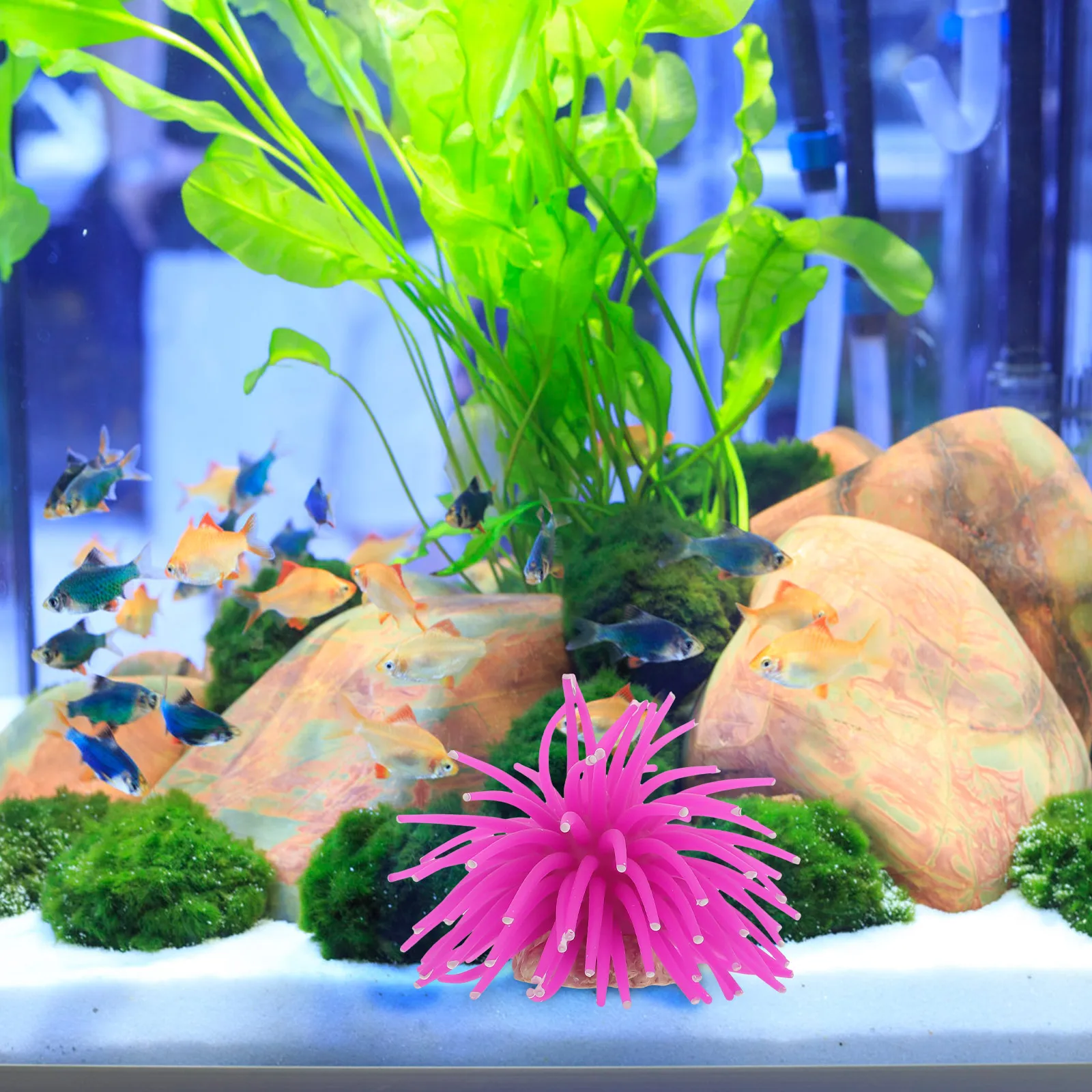 

Artificial Coral Decoration for Fish Tank L scaping Aquarium nament Simulation Sea Urchins Safe Durable Material Enhance Visual